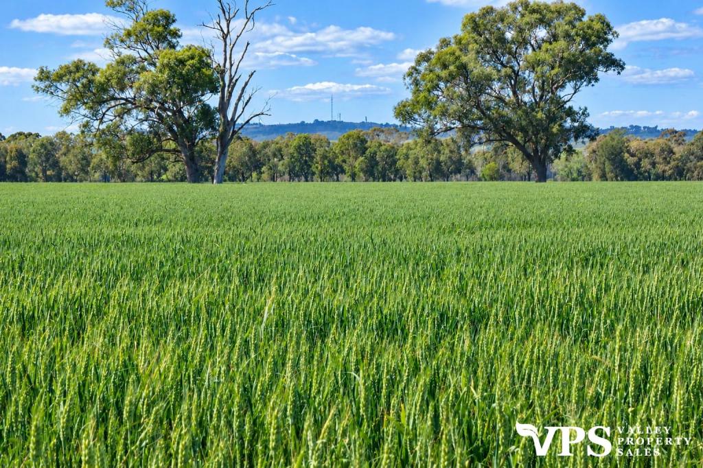 370 Pine Lodge South Rd, Pine Lodge, VIC 3631