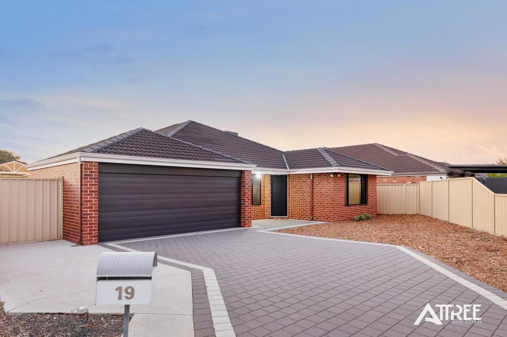 19 Brolga Gr, Seville Grove, WA 6112