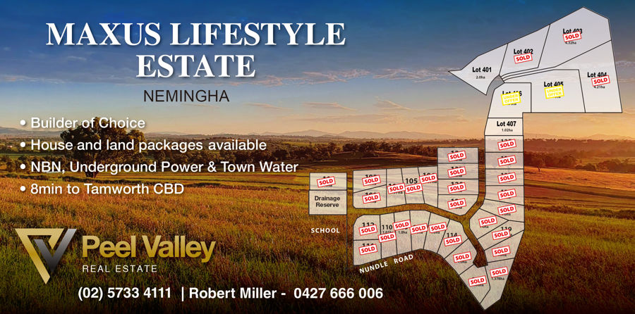 LOT 401 WINNERS CLOSE NEMINGHA, TAMWORTH, NSW 2340