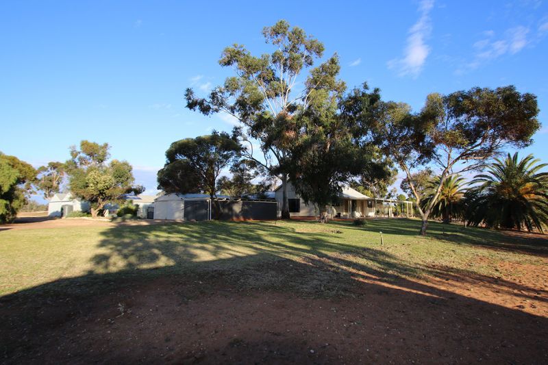 497 MORGAN-CADELL RD, CADELL, SA 5321