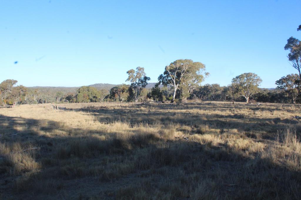 2087 RABBIT FENCE RD, PASSCHENDAELE, QLD 4352