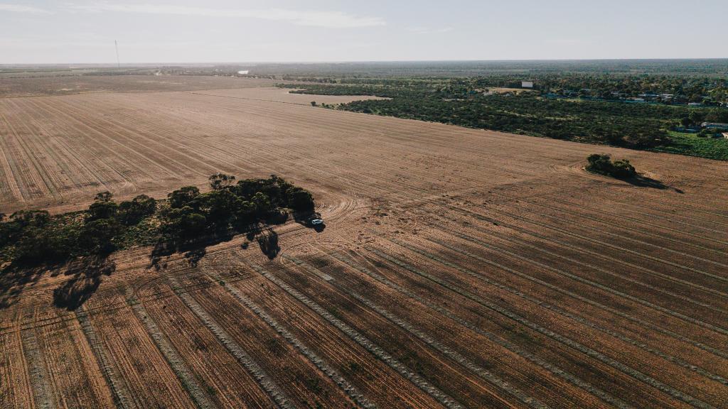 Stirlings, Pompies & Town, Loxton, SA 5333