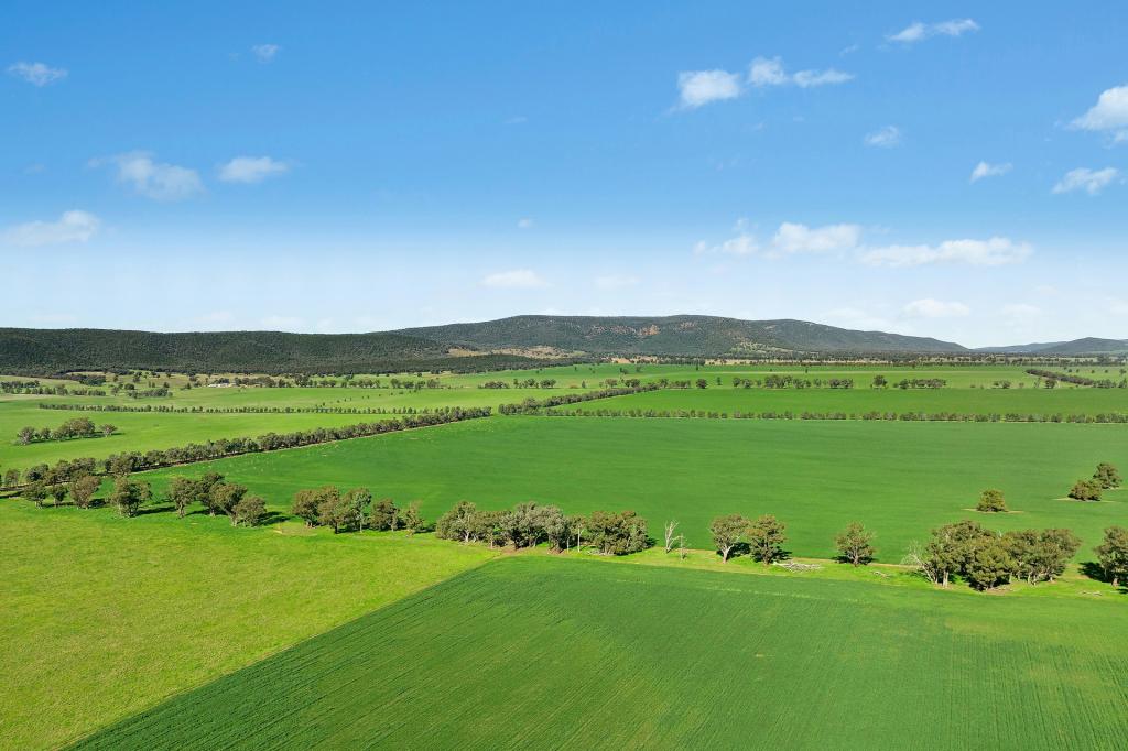 3130 Adelargo Rd, Grenfell, NSW 2810