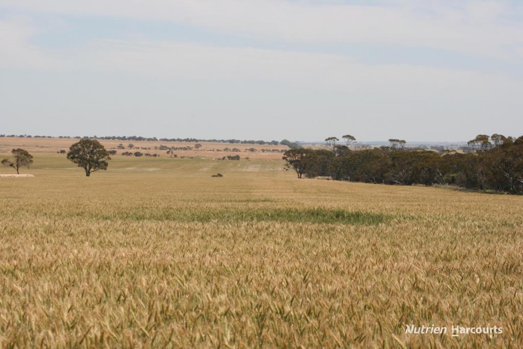 . Cnr Nembudding South Road & Hammond Road, Korrelocking, WA 6485