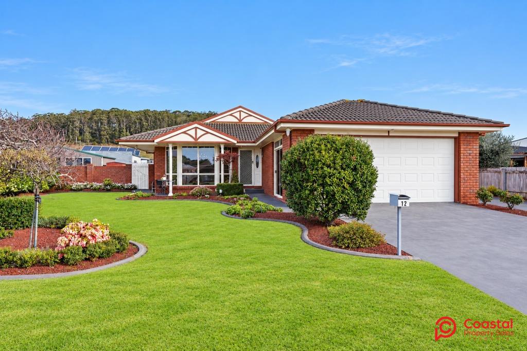 12 RACECOURSE CRES, TURNERS BEACH, TAS 7315