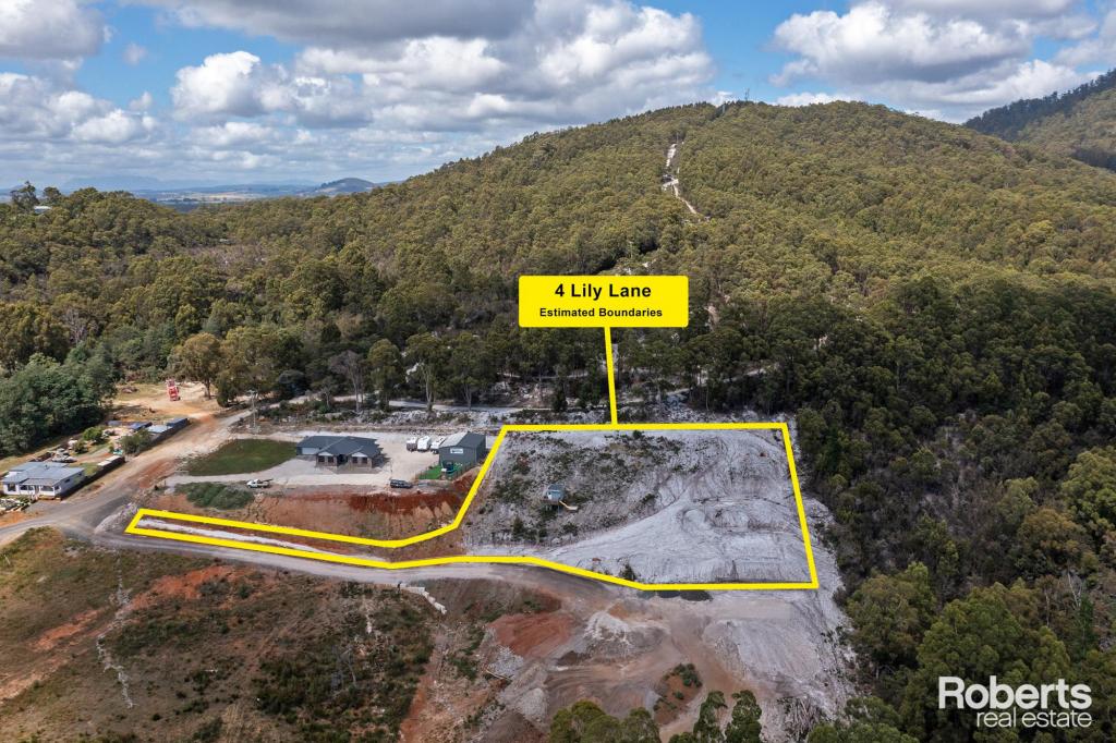 4 Lily Lane, Penguin, TAS 7316