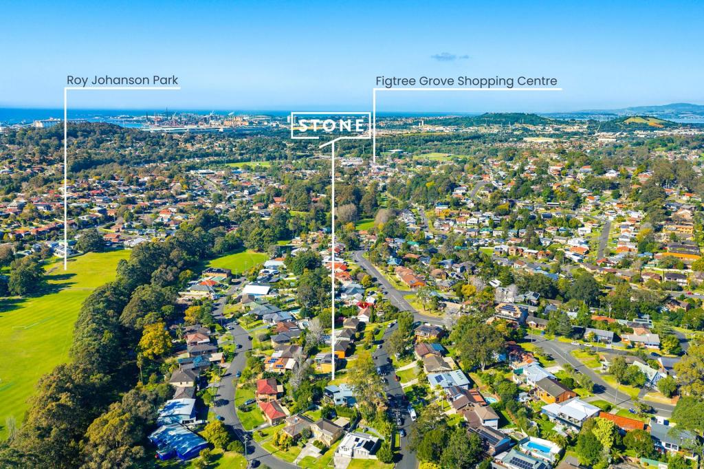 3 Mcdonough Ave, Figtree, NSW 2525