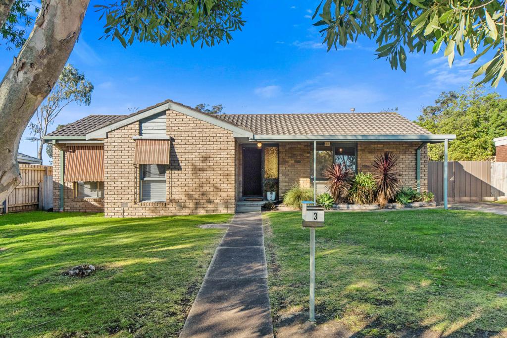 3 Landsdowne Ct, Frankston, VIC 3199