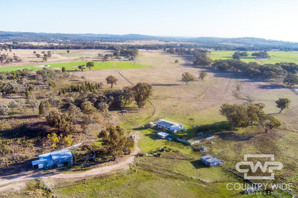 3889 Nullamanna Rd, Wellingrove, NSW 2370