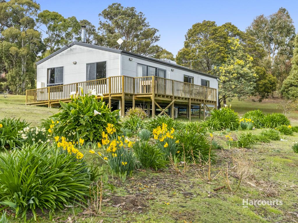 19 Mountain Pl, Molesworth, TAS 7140