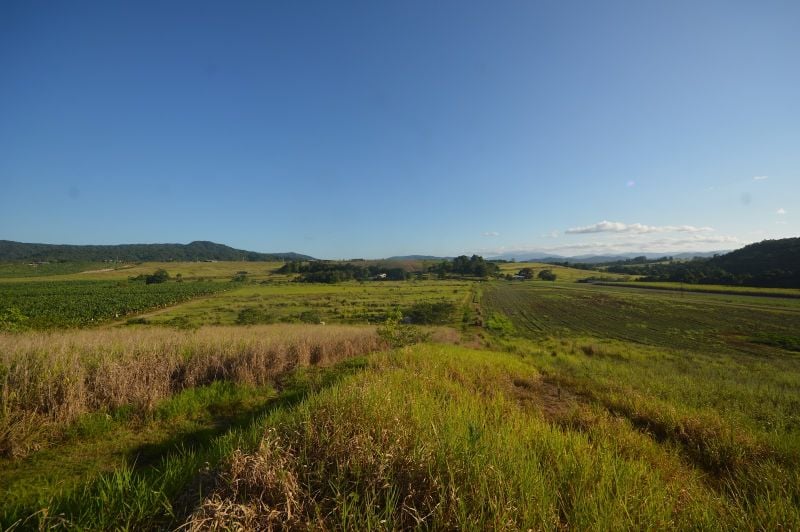 1212 Innisfail Japoon Rd, Camp Creek, QLD 4871