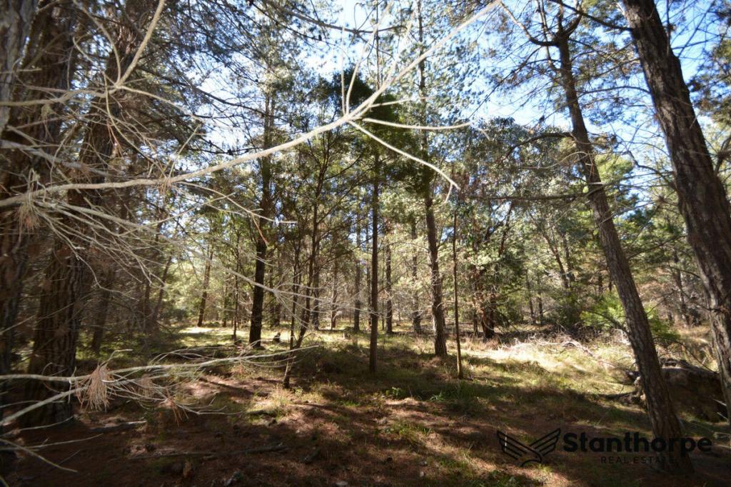Lot 231 Central Rd, Sugarloaf, QLD 4380