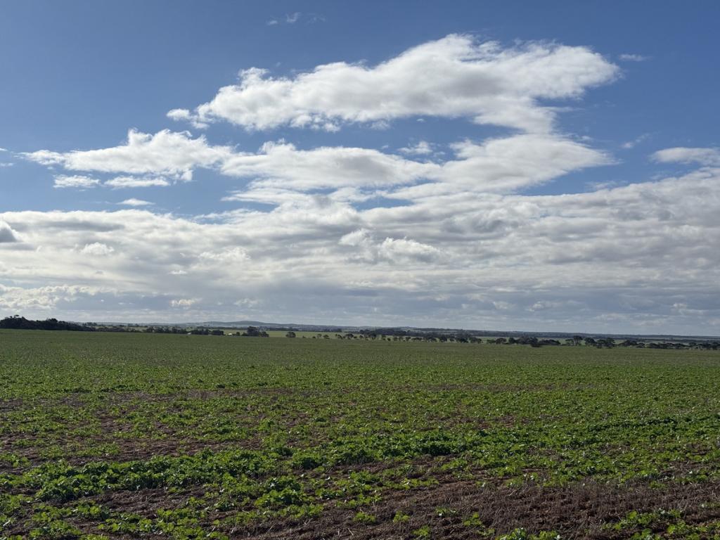 Lot 25 Brownlow Rd, Neales Flat, SA 5374
