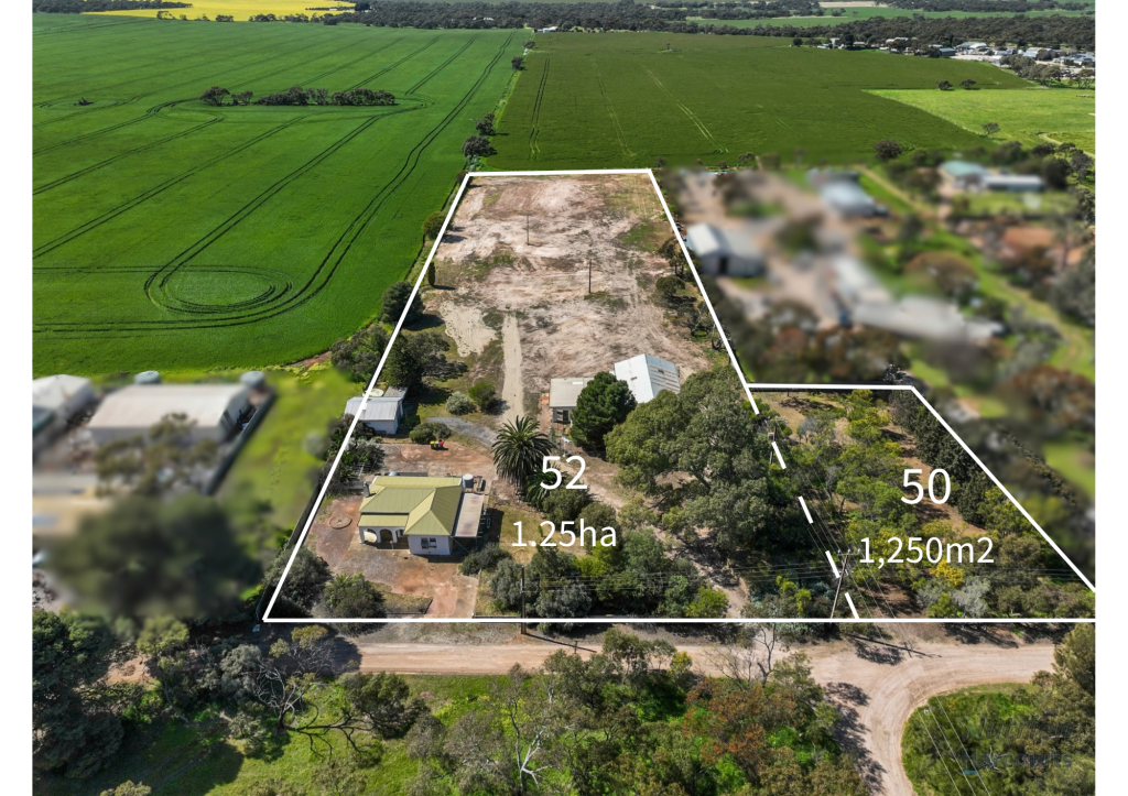 50 & 52 Maitland Rd, Minlaton, SA 5575