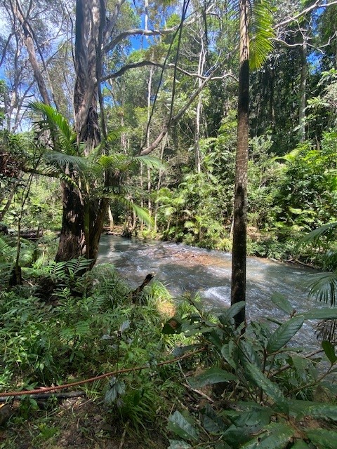 258 Ganyan Dr, Speewah, QLD 4881