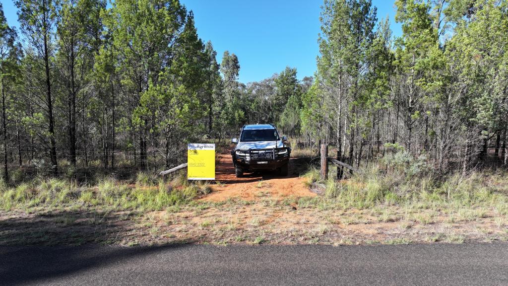 114 INDIAN LANE, BARADINE, NSW 2396