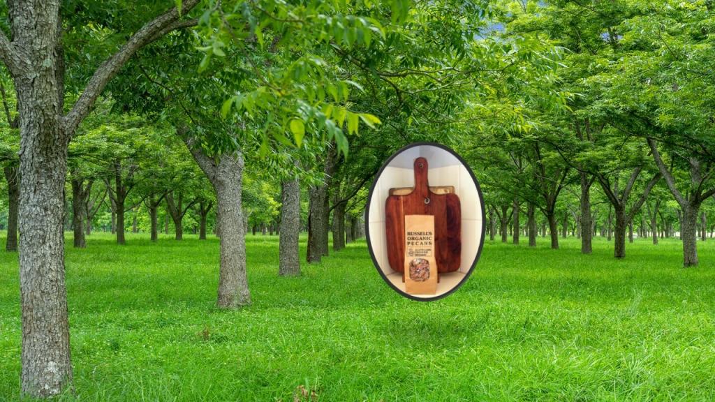 139 Homestead Rd, Kilgra, NSW 2474