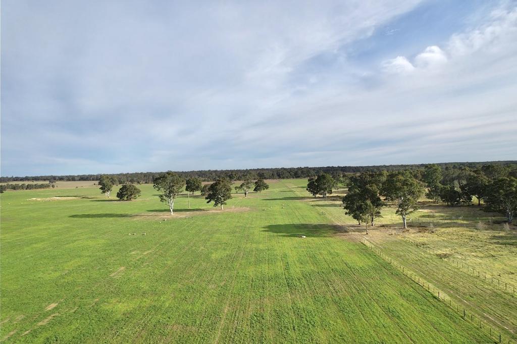 310 Redcourt Lane, Lindenow South, VIC 3875