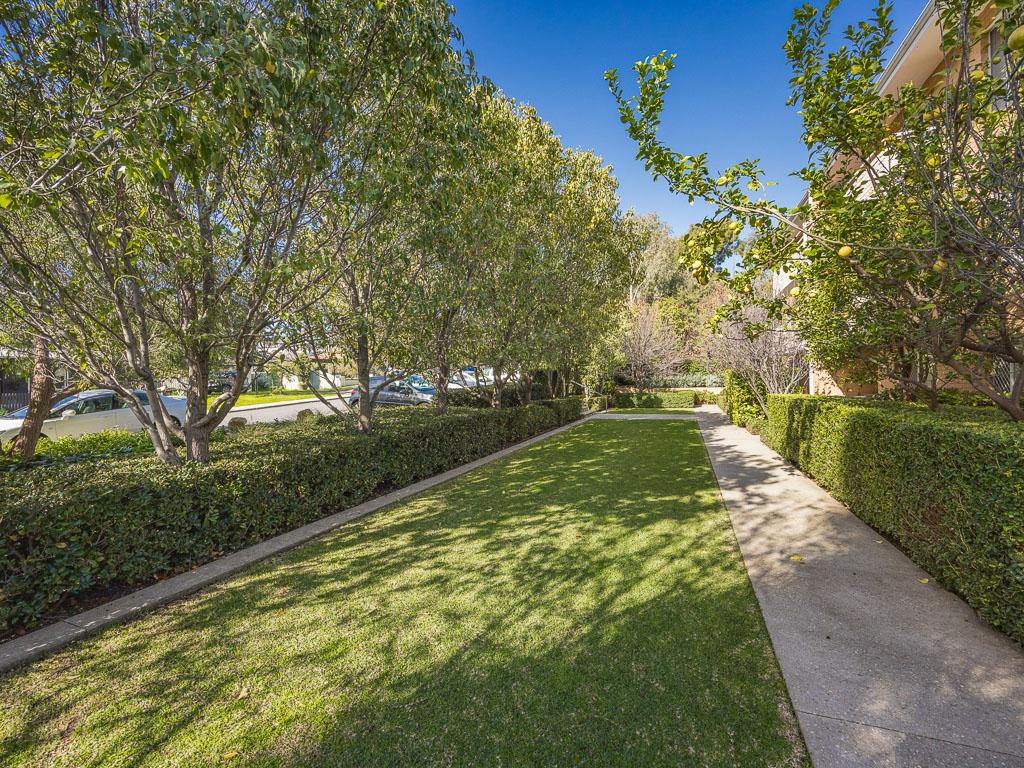13/2 Albert St, Mosman Park, WA 6012