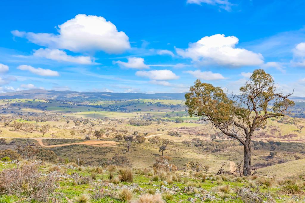 1092 GOWAN RD, LOWER LEWIS PONDS, NSW 2800