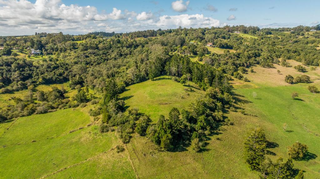 27a Paradise Ct, Mcleans Ridges, NSW 2480