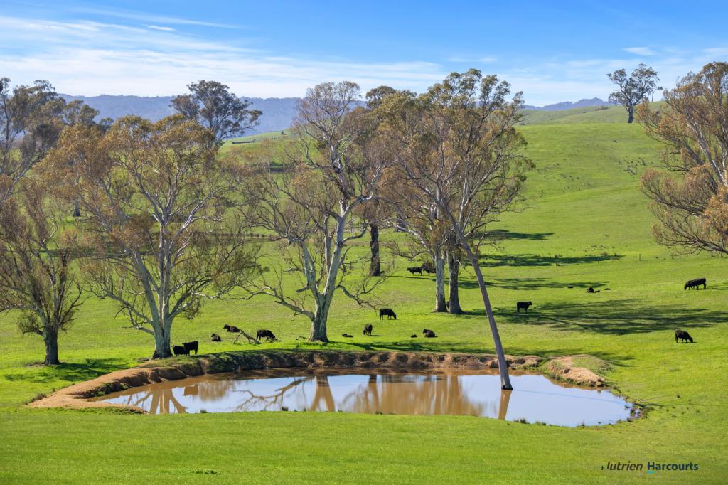 2222 Goulburn Valley Hwy, Alexandra, VIC 3714