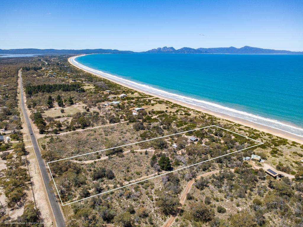 314 DOLPHIN SANDS RD, DOLPHIN SANDS, TAS 7190