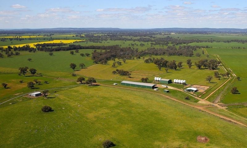 449 Willawang Rd, Warroo, NSW 2871