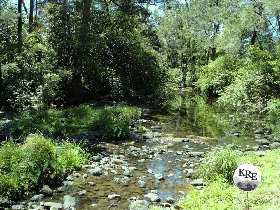 842 Green Pigeon Rd, Horseshoe Creek, NSW 2474