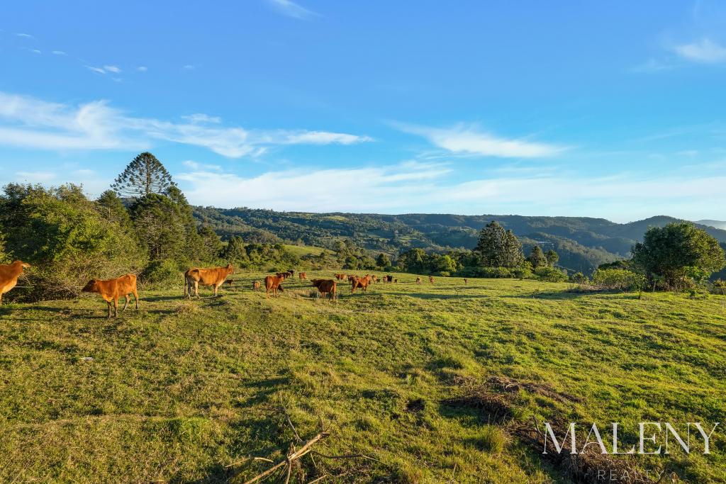 Lot 2 Maleny Kenilworth Rd, Witta, QLD 4552