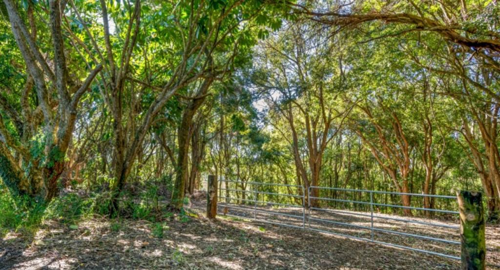 70 NORTH TEVEN RD, TEVEN, NSW 2478