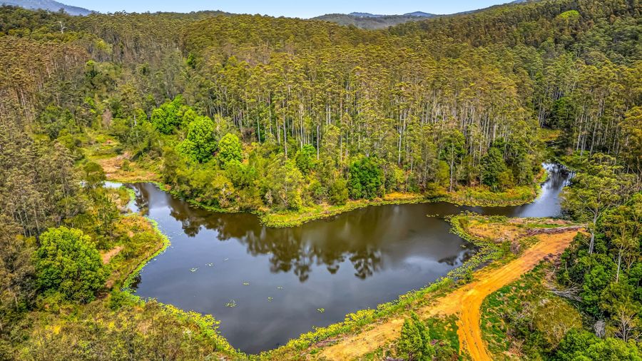 2984 Kyogle Rd, Kunghur, NSW 2484