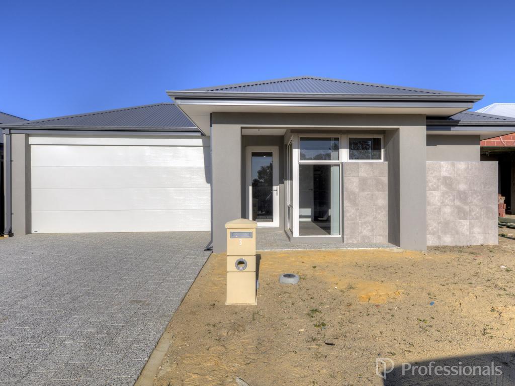 3 Mannikin Way, Maddington, WA 6109