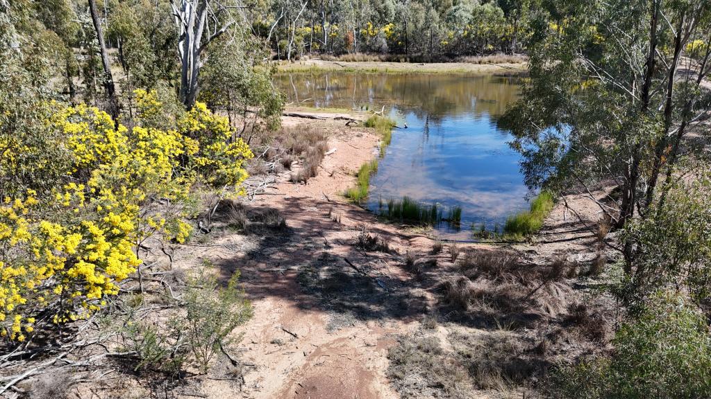 Lot 1 Bamblings Rd, Brush Creek, QLD 4387