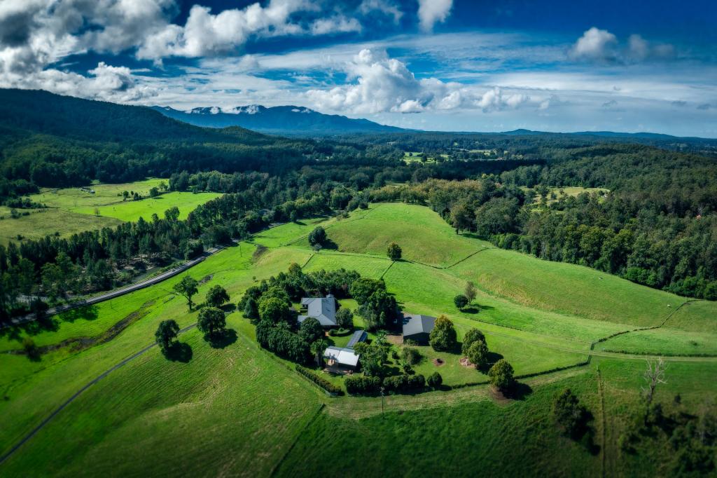 2165 Waterfall Way, Thora, NSW 2454