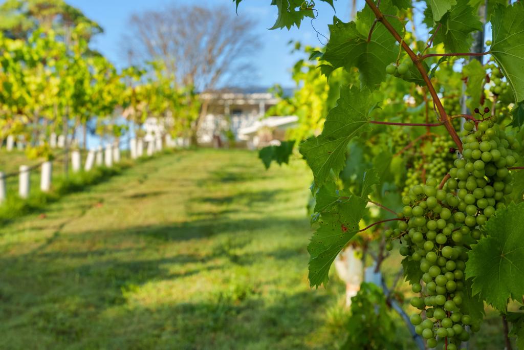 416 Dulong Rd, Dulong, QLD 4560