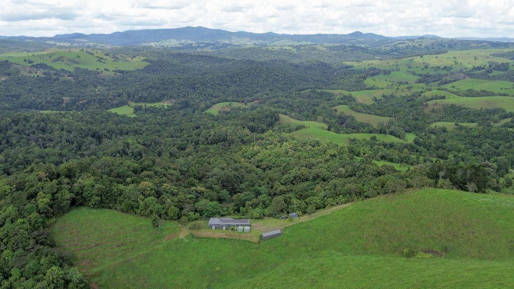 Lot 291 Palmerston Hwy, Mungalli, QLD 4886