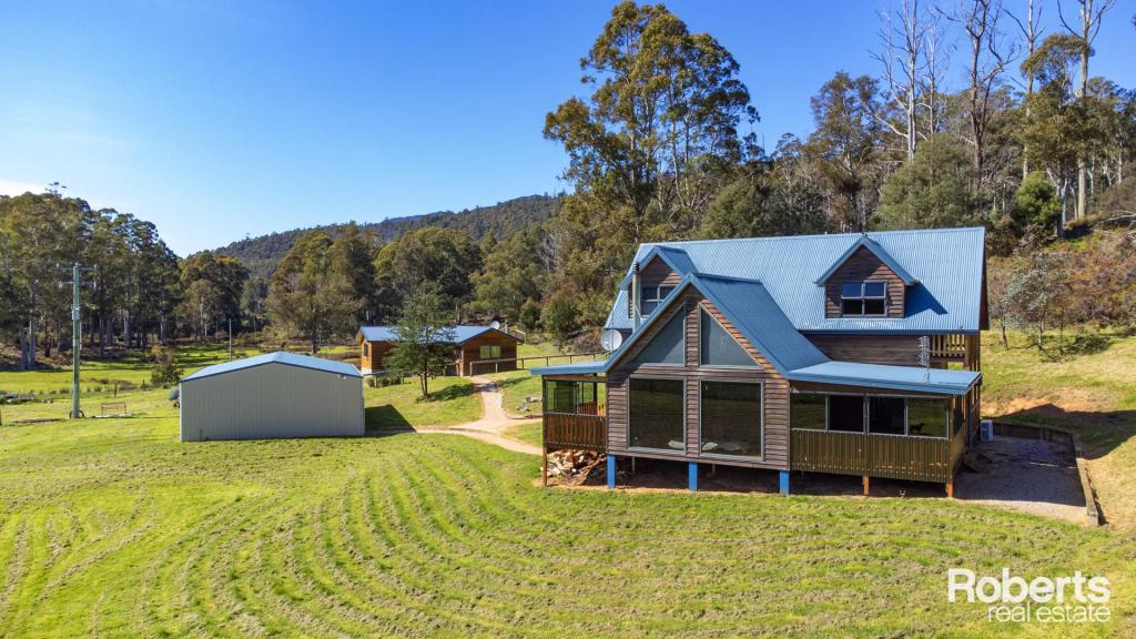 1361 Liena Rd, Liena, TAS 7304