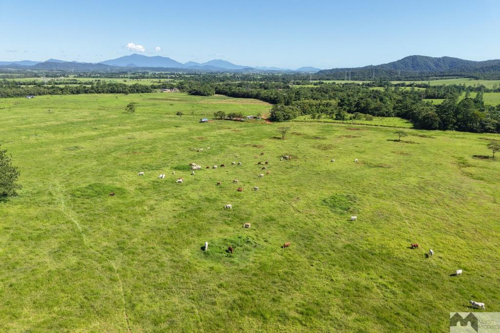 Meuanbah Rd, Bombeeta, QLD 4871