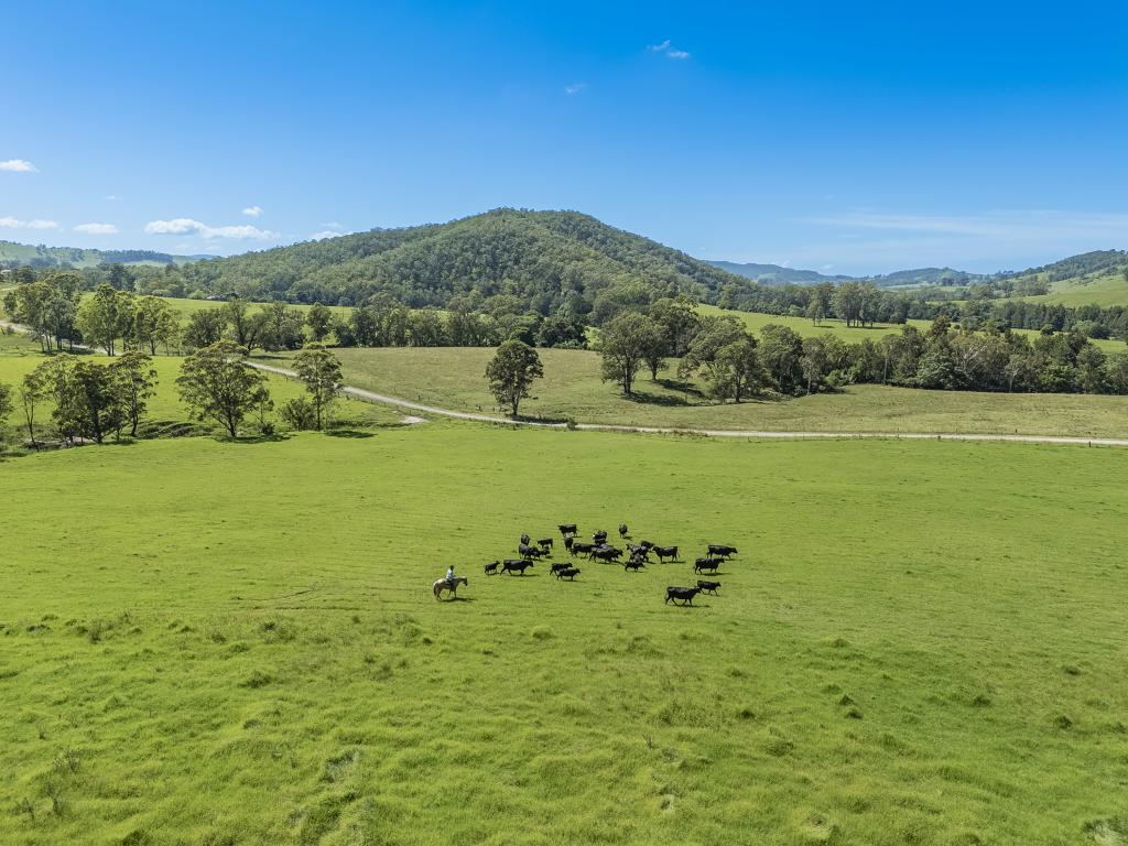 383 Moores Rd, Monkerai, NSW 2415