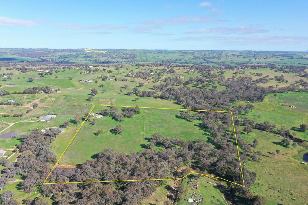 85 THOMSONS RD, YOUNG, NSW 2594