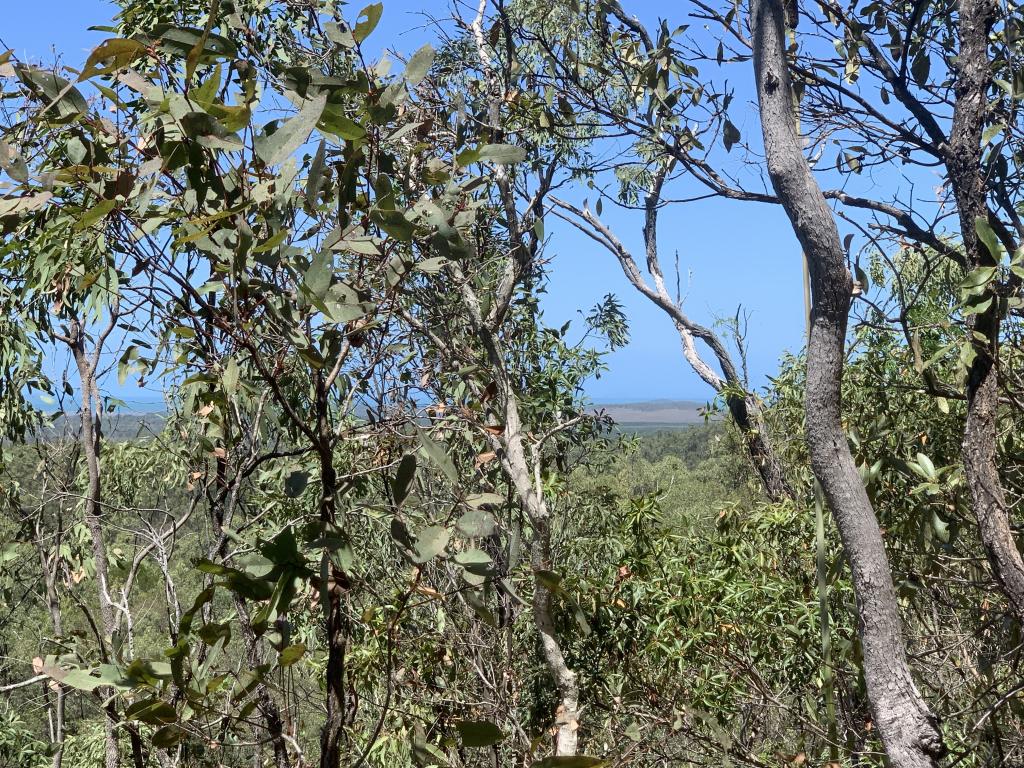 Lot 36 Whitsunday Dr, Bloomsbury, QLD 4799