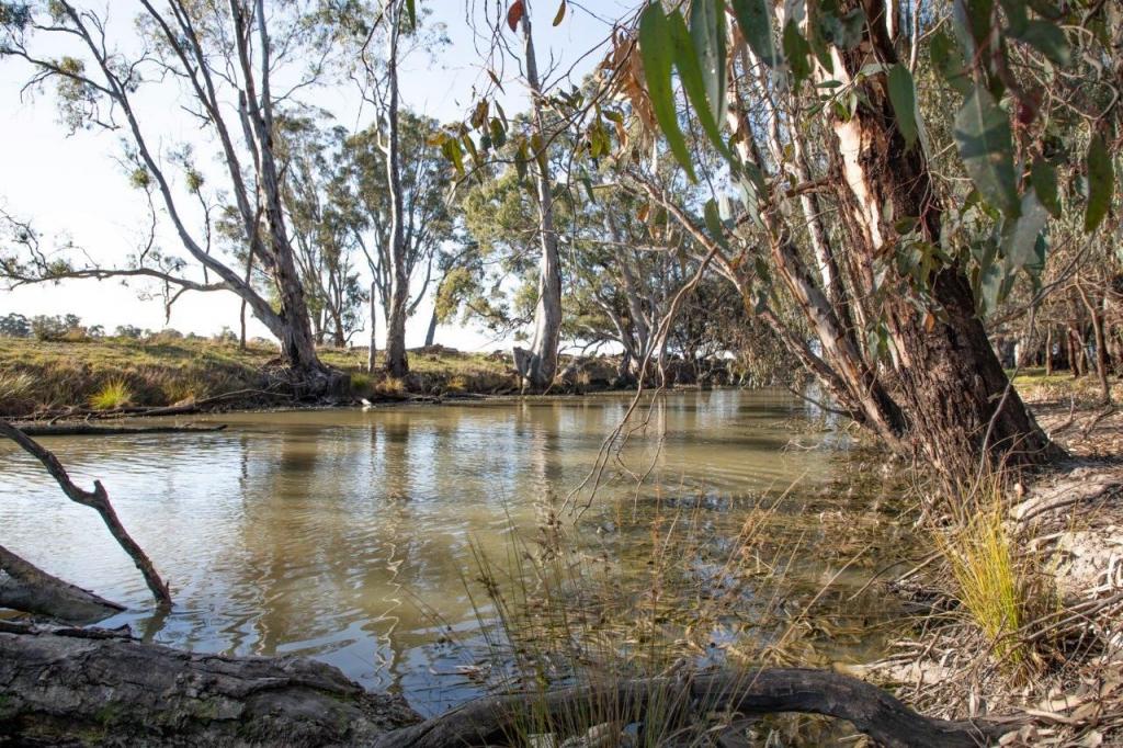 136 Glenview Rd, Barham, NSW 2732