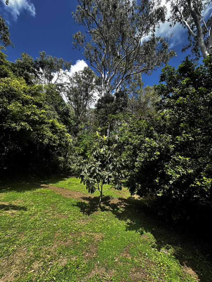 36 Prince Charles Ave, Seaforth, QLD 4741