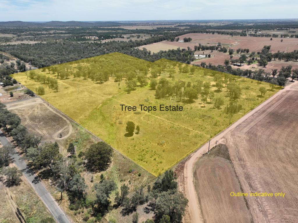 Tree Tops Estate 128r Minore Road, Dubbo, NSW 2830