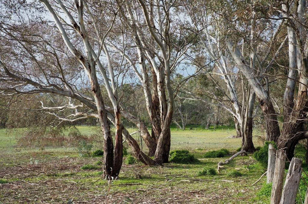 Lot 6/60 Caldwell St, Heathcote, VIC 3523