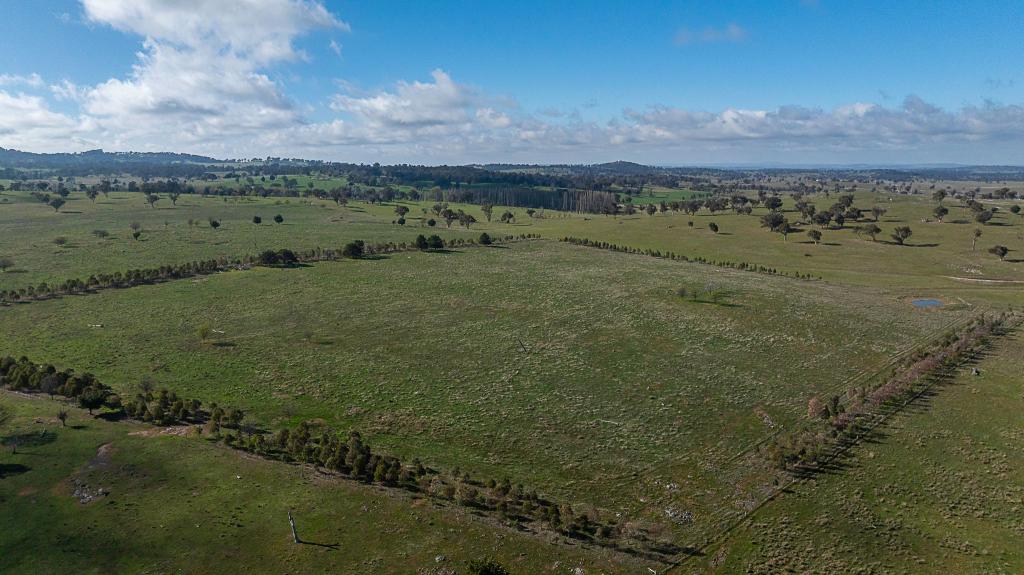 133 Bellbrook East Rd, Dumaresq, NSW 2350