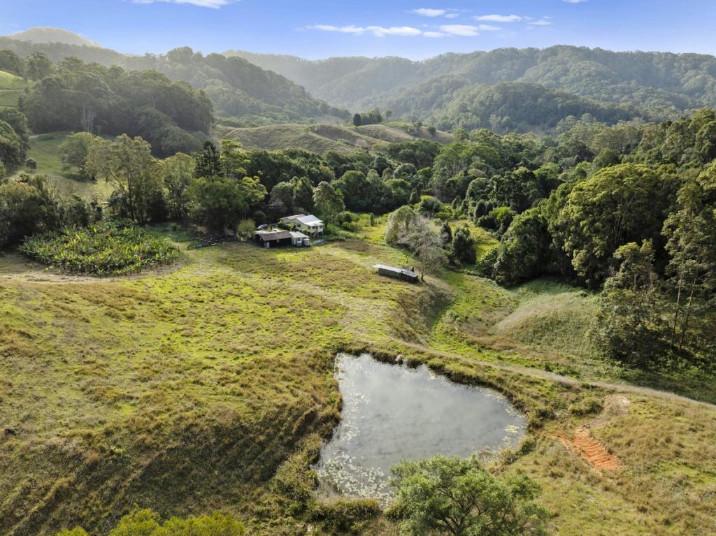 536 CUDGERA CREEK RD, CUDGERA CREEK, NSW 2484