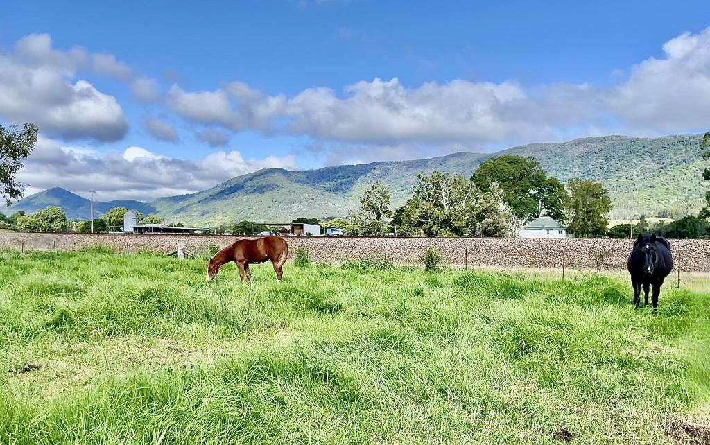 1545 Nowendoc Rd, Mount George, NSW 2424