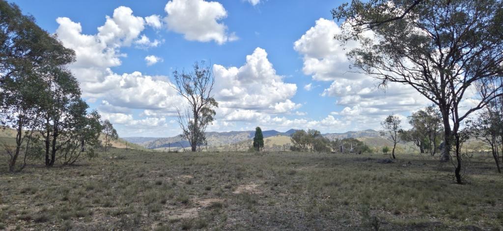 74 Honners Rd, Grattai, NSW 2850